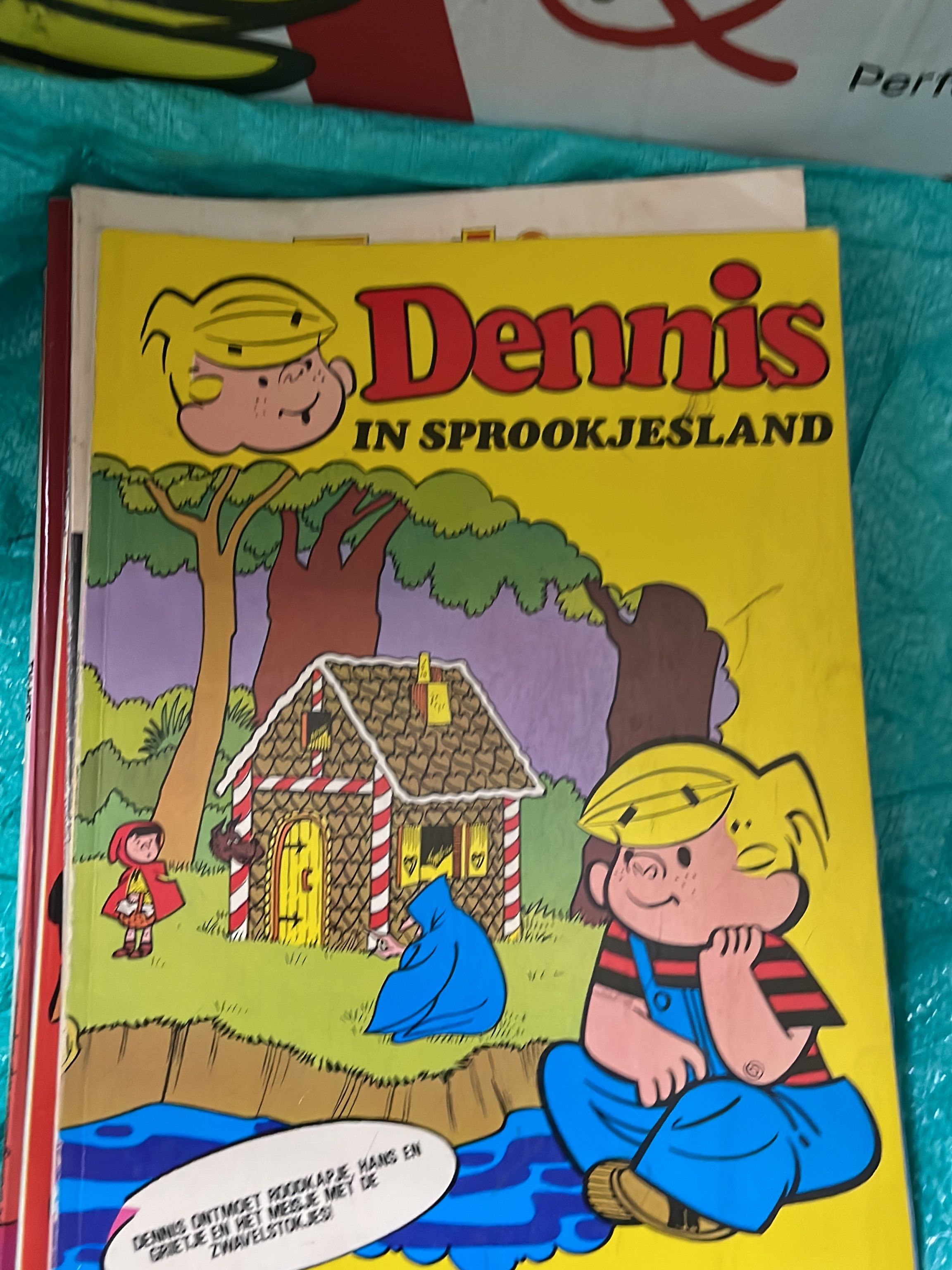 Cover van Dennis in Sprookjesland