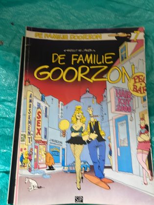 Cover van De familie Goorzon