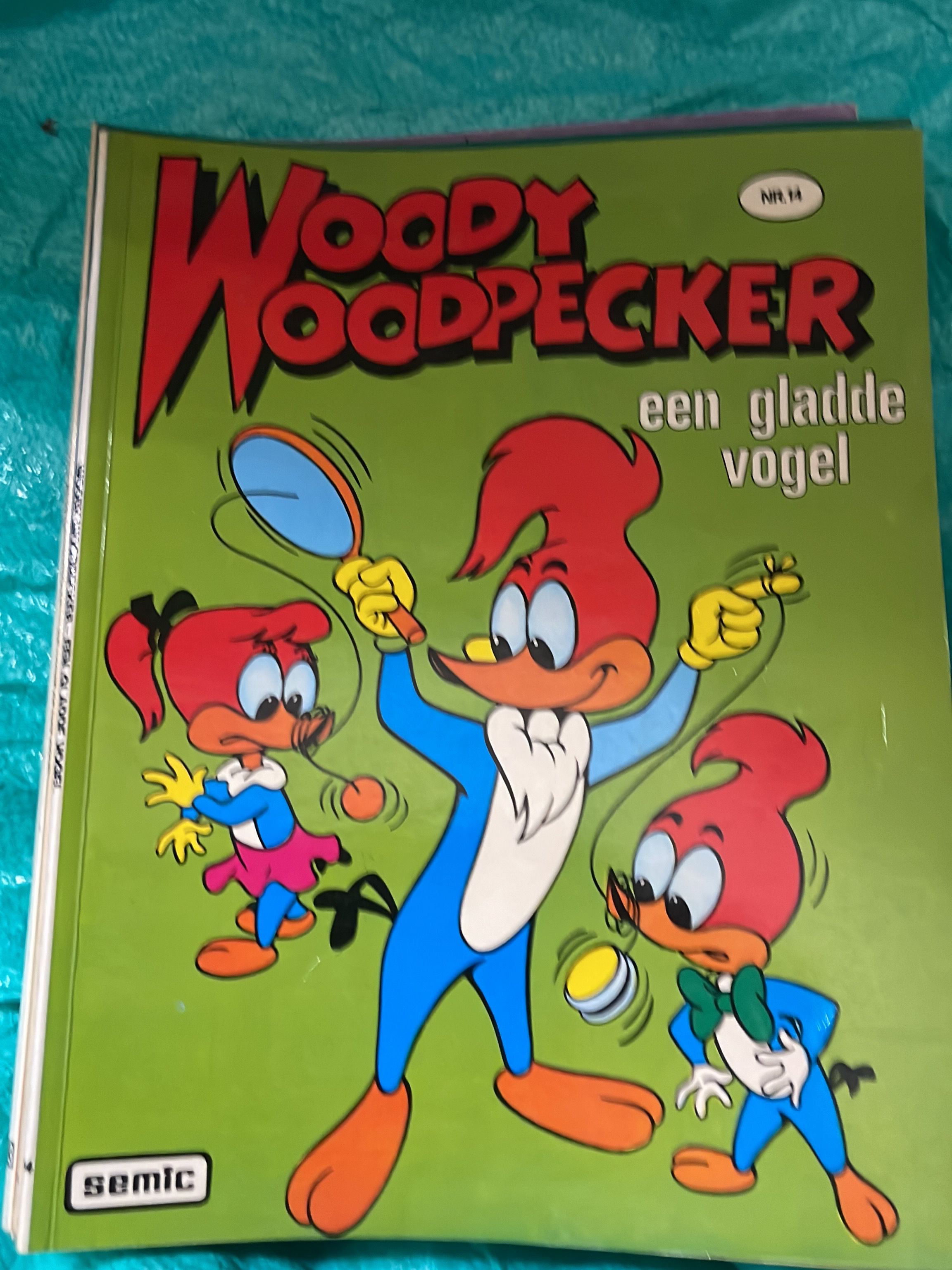 Cover van Een gladde vogel
