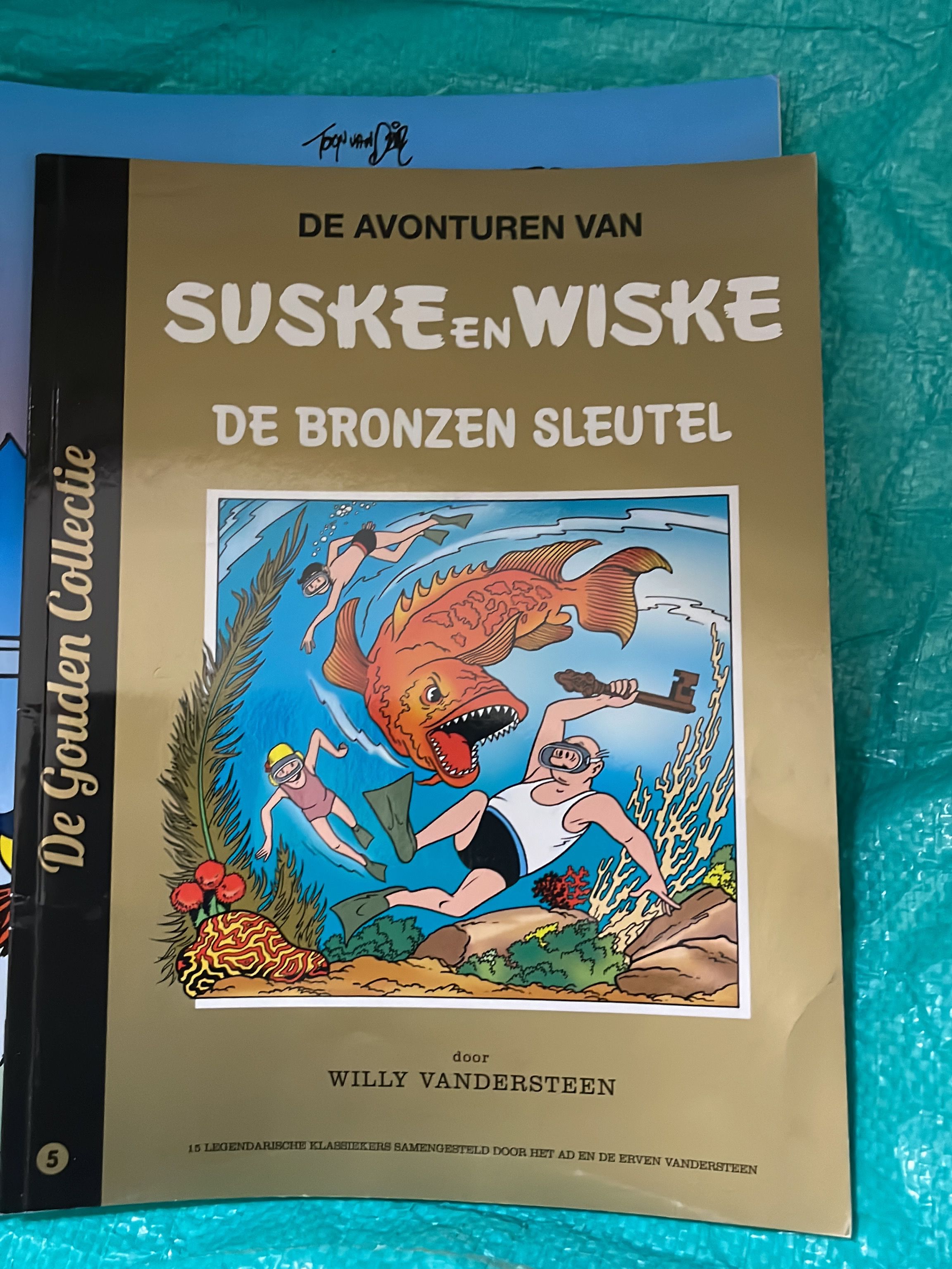 Cover van De bronzen sleutel