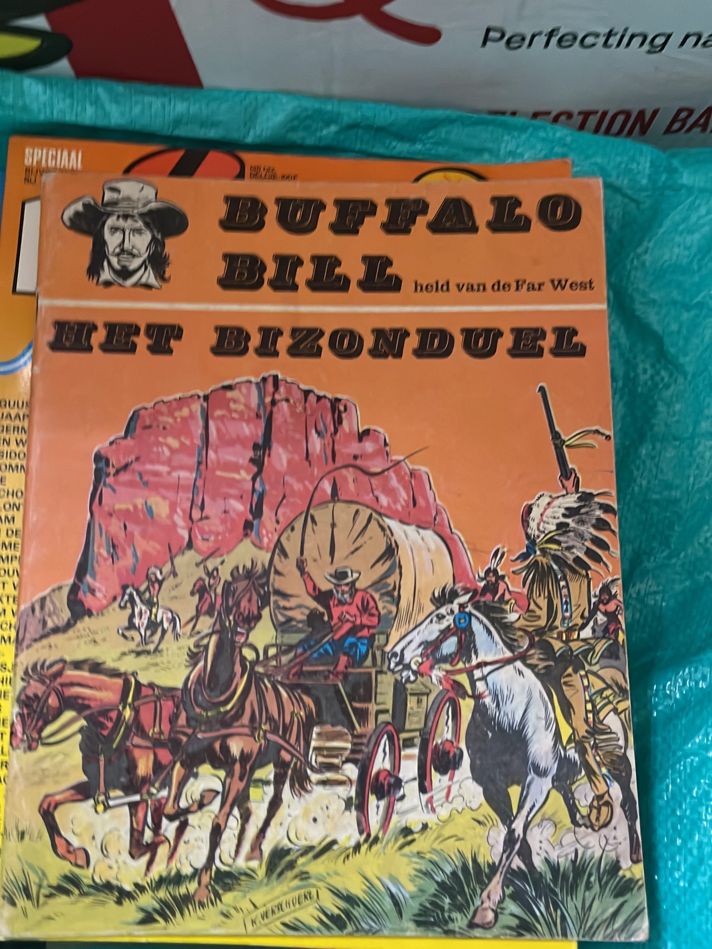 Cover van Het bizonduel