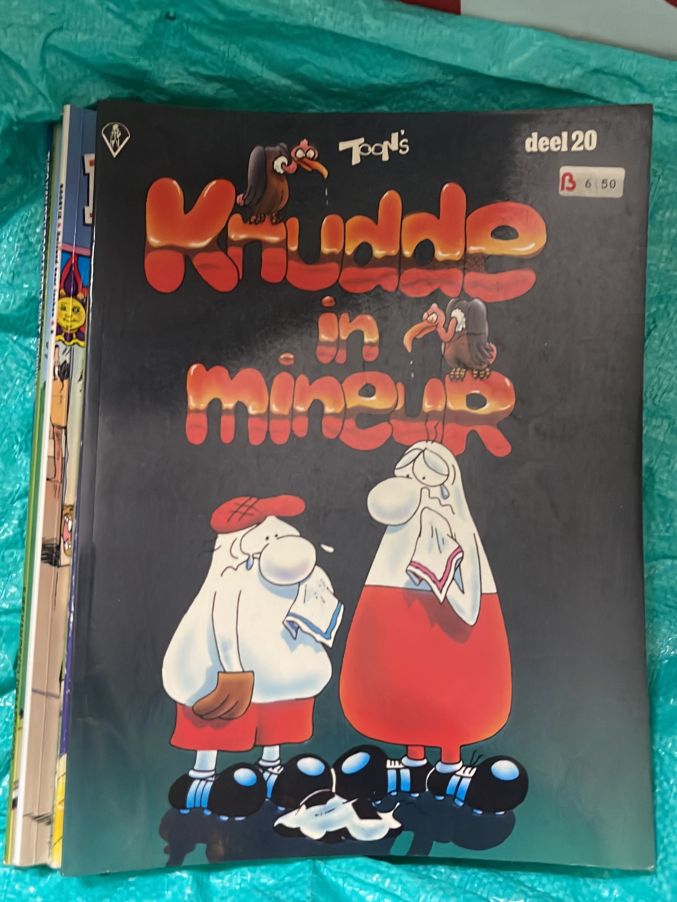Cover van Knudde in mineur