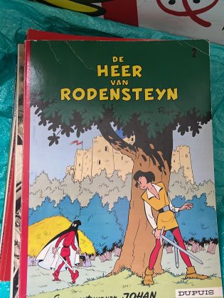 Cover van De heer van Rodensteyn