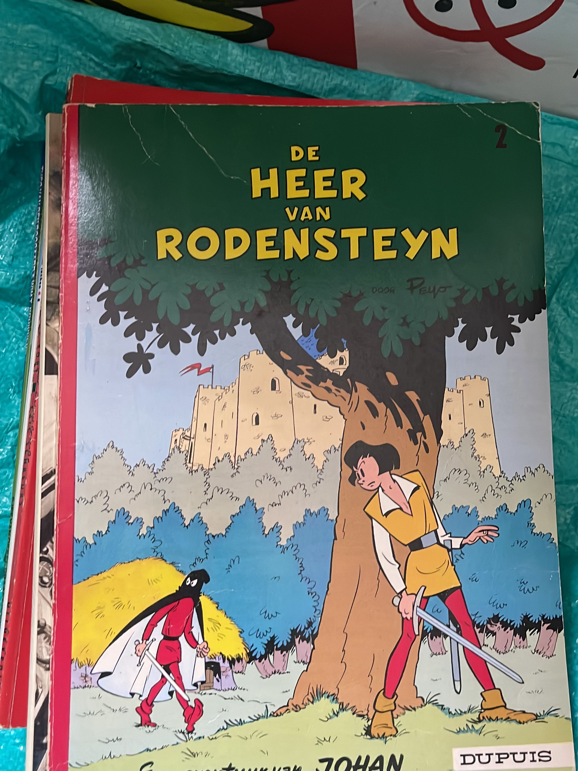 Cover van De heer van Rodensteyn