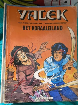 Cover van Het koraaleiland