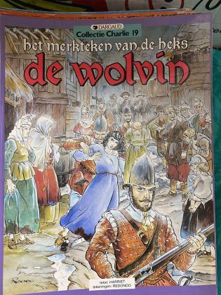 Cover van De wolvin
