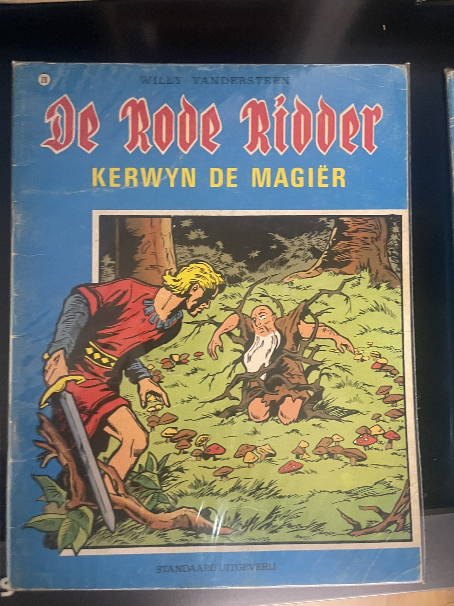 Cover van Kerwyn de magiër