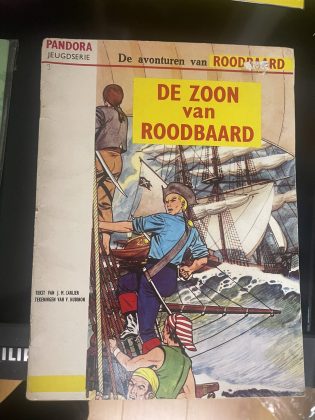 Cover van De zoon van Roodbaard