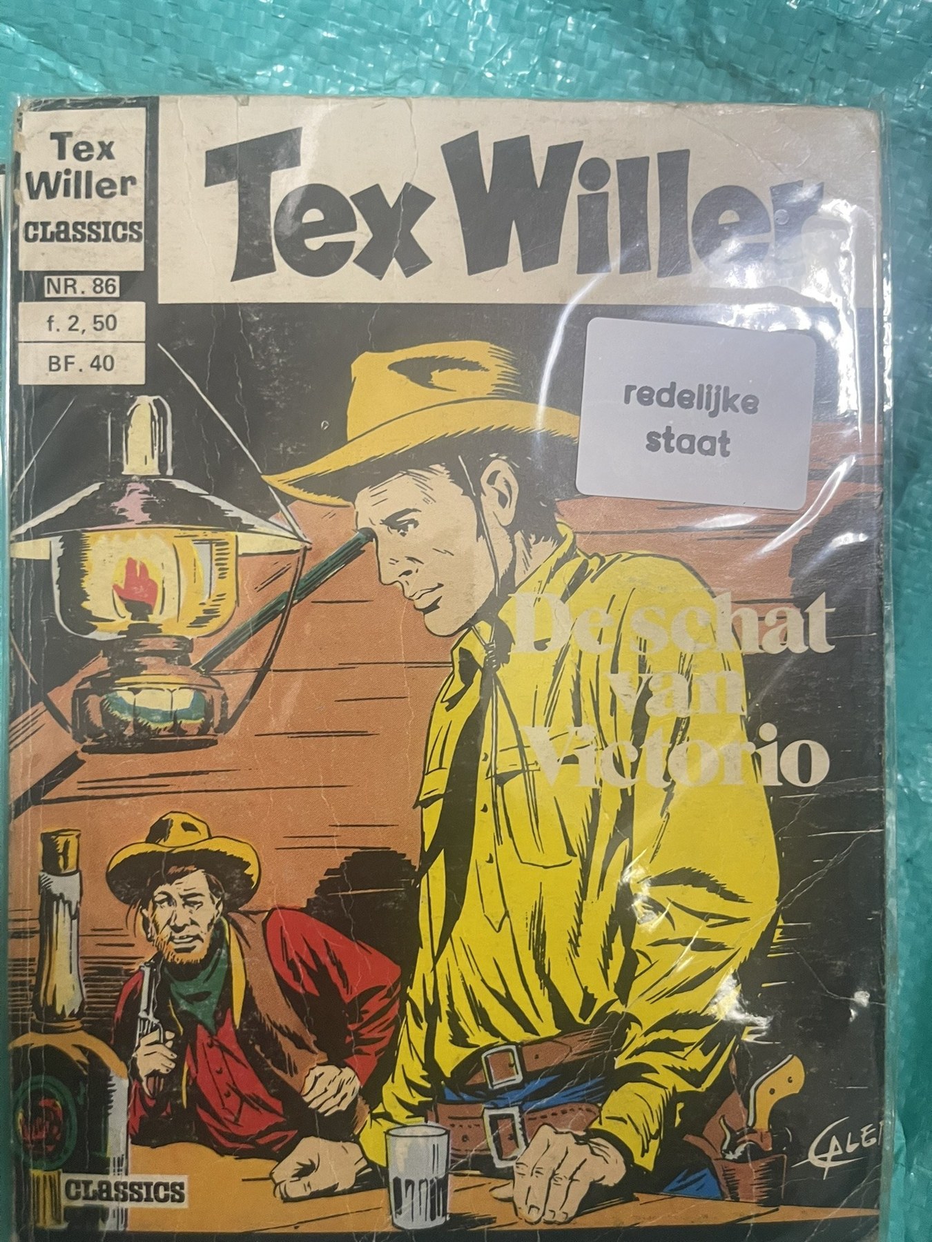 Cover van De schat van Victorio