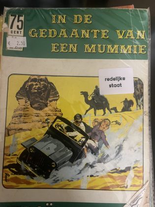 Cover van In de gedaante van een mummie