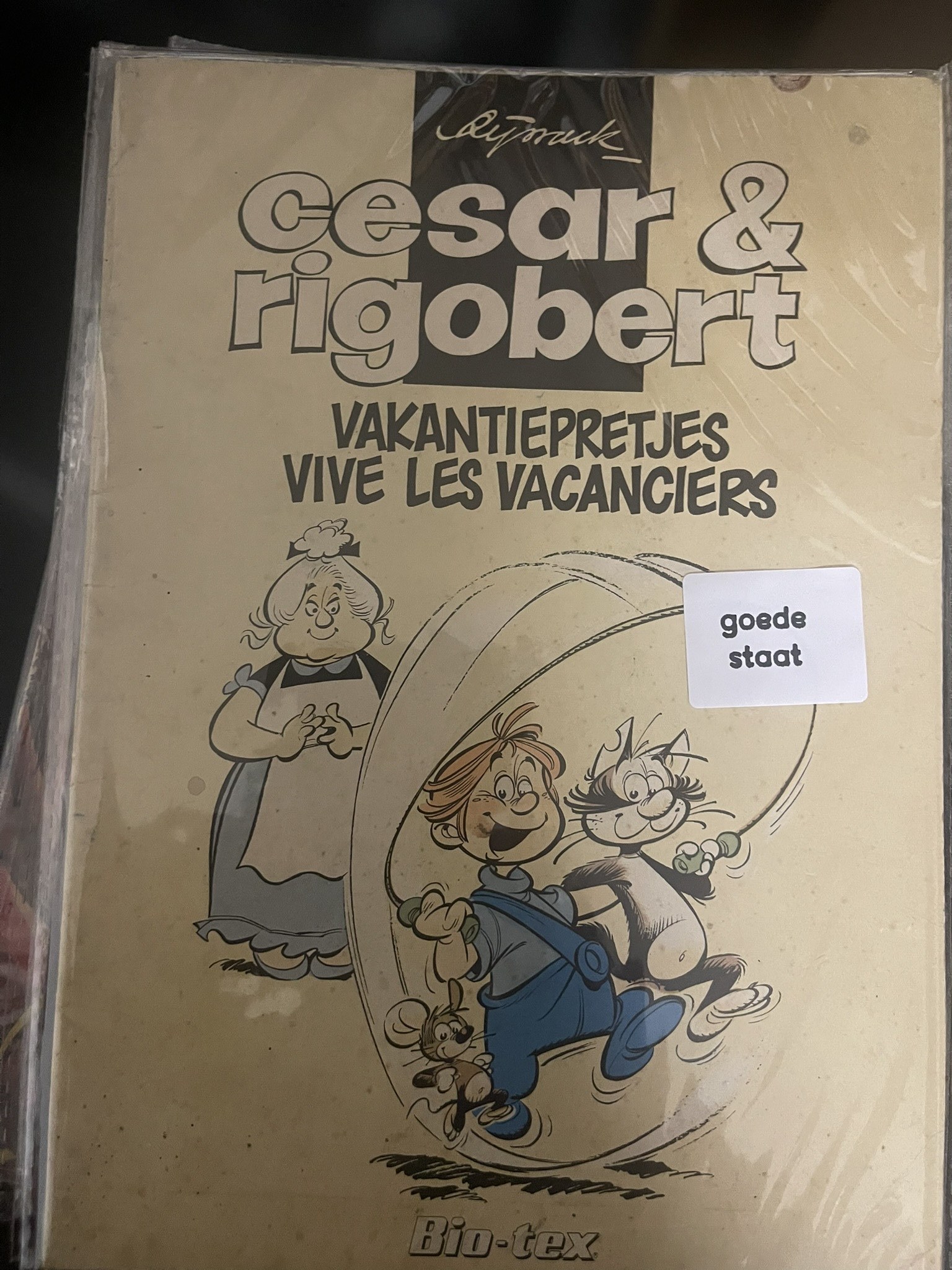 Cover van Vakantiepretjes - Vive les vacanciers