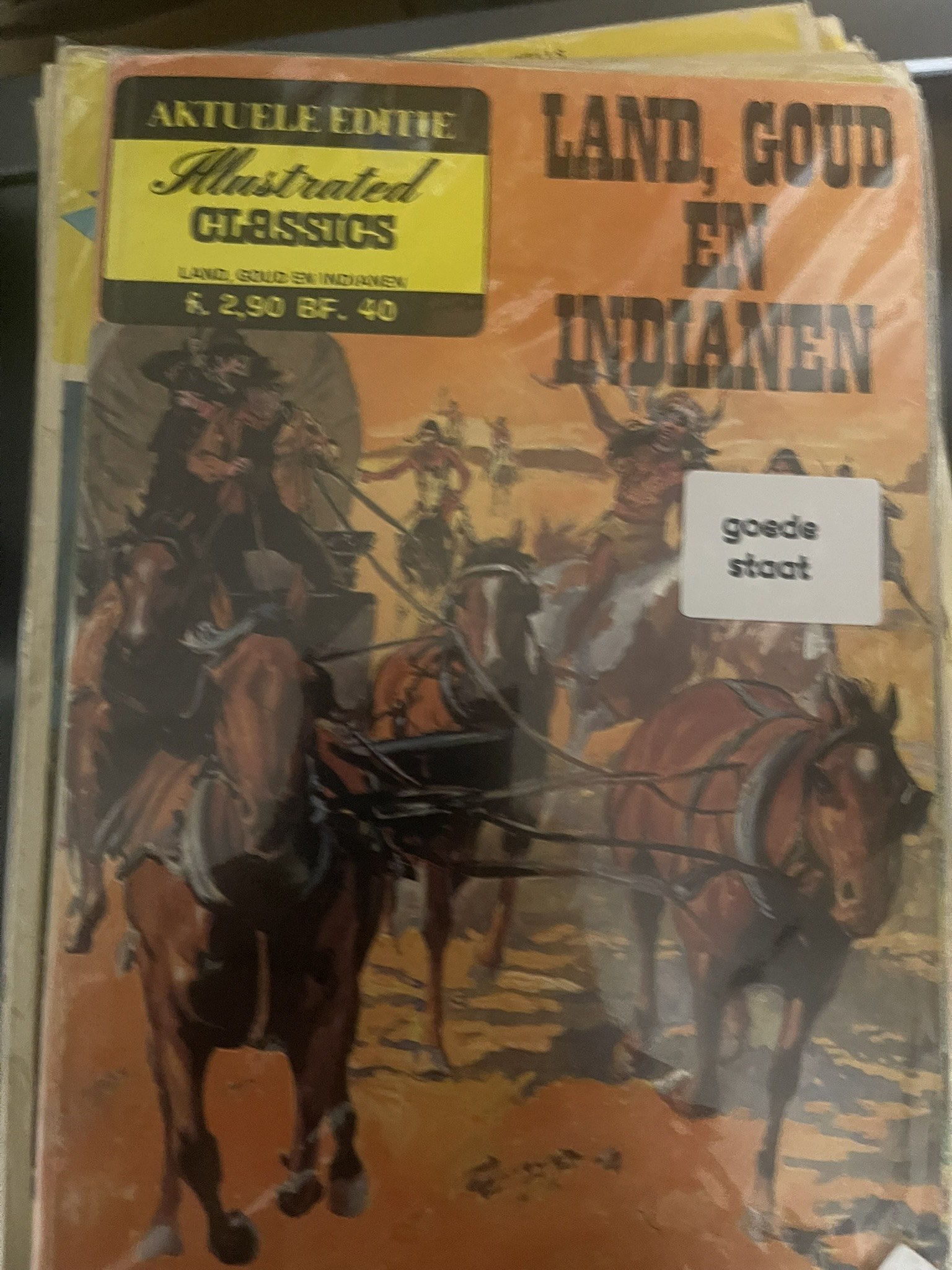 Cover van Land, goud en indianen