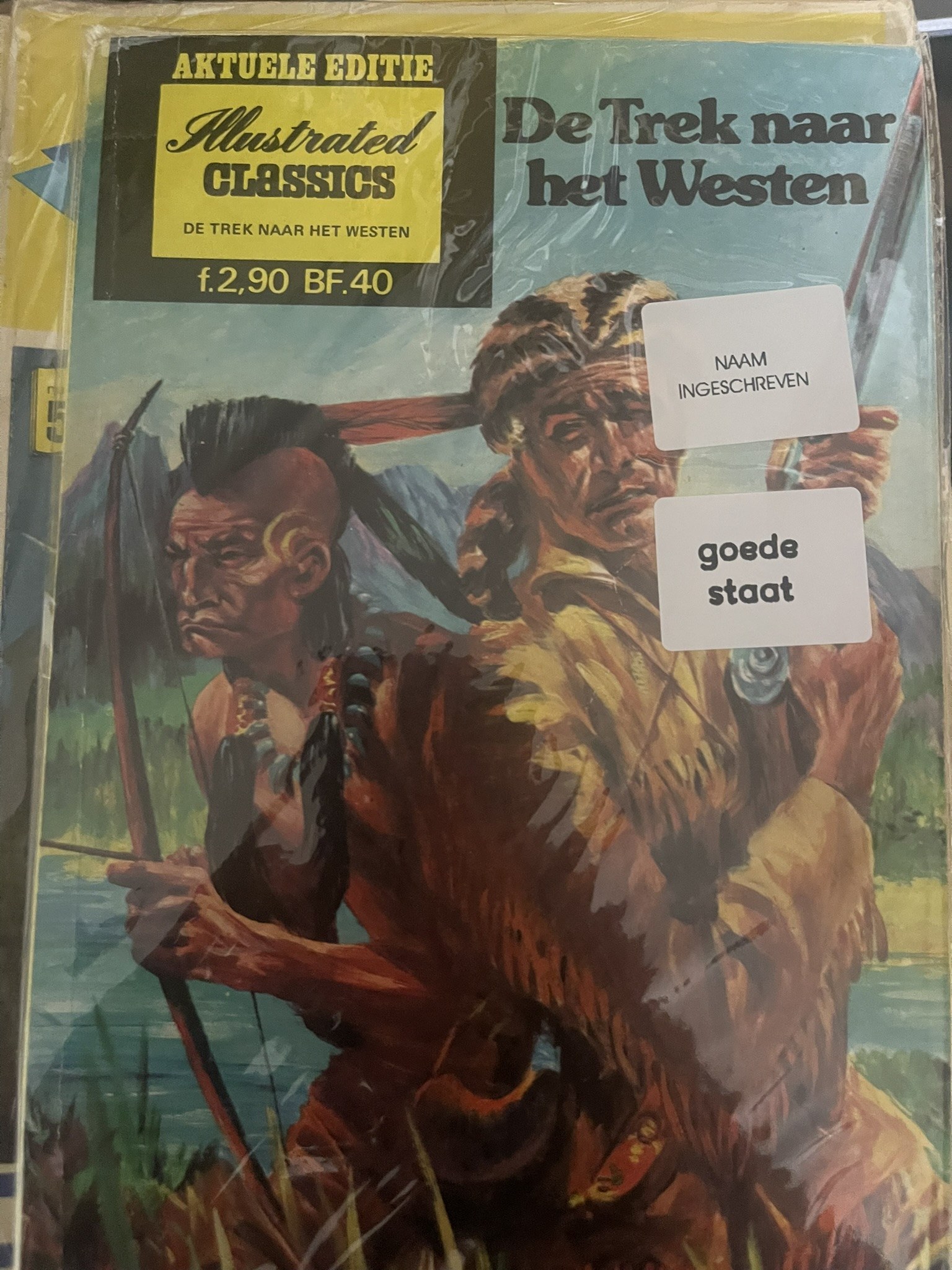 Cover van De trek naar het westen