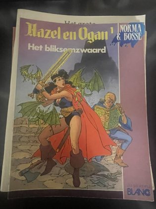 Cover van Het bliksemzwaard