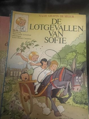 Cover van De lotgevallen van Sofie