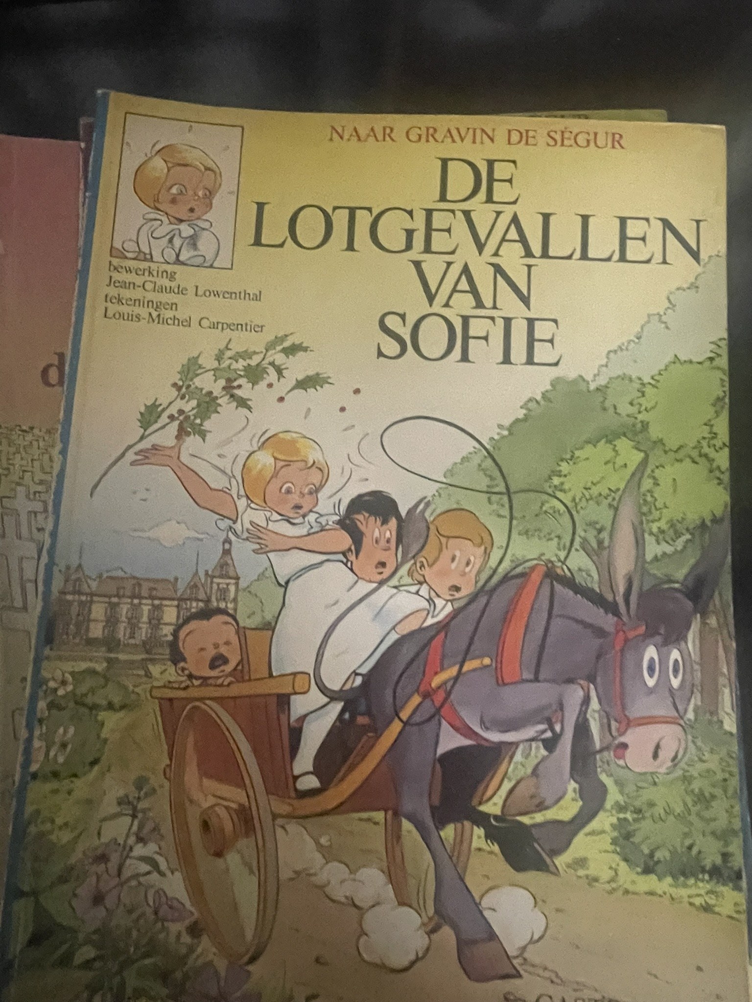 Cover van De lotgevallen van Sofie