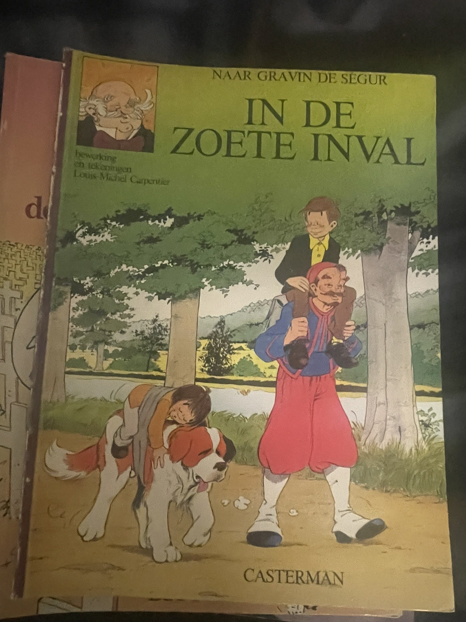 Cover van In de zoete inval