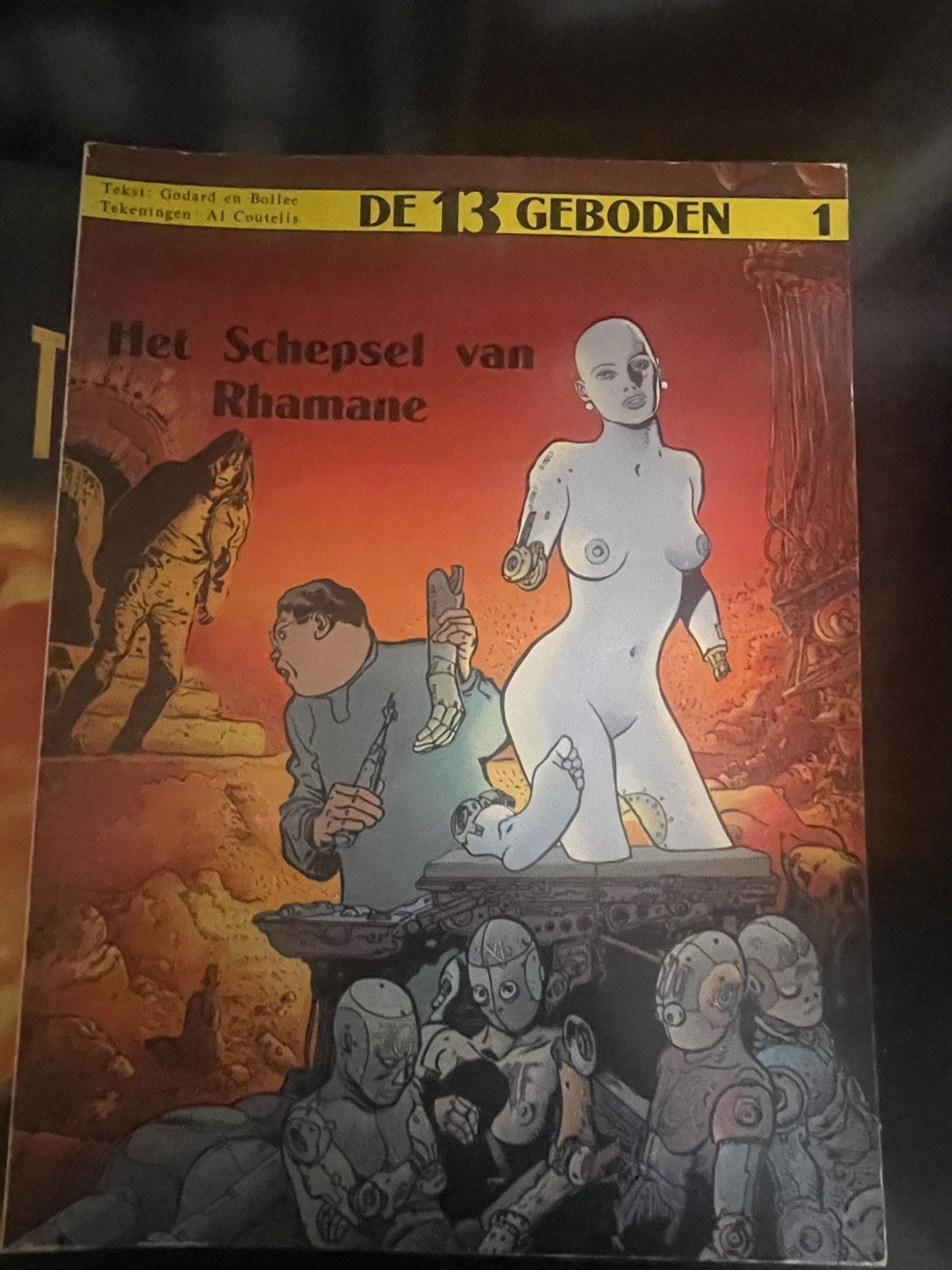 Cover van Het schepsel van Rhamane