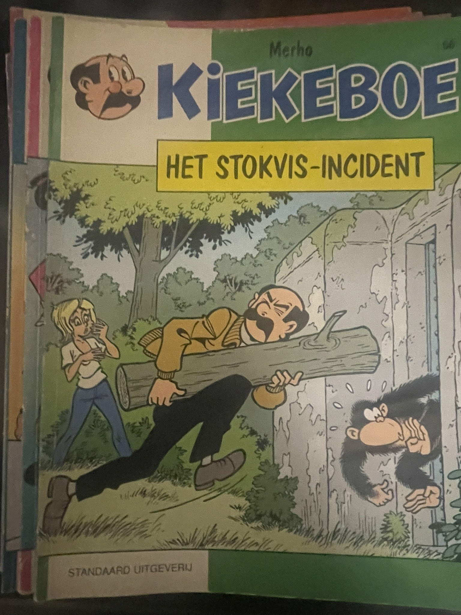 Cover van Het Stokvis-incident