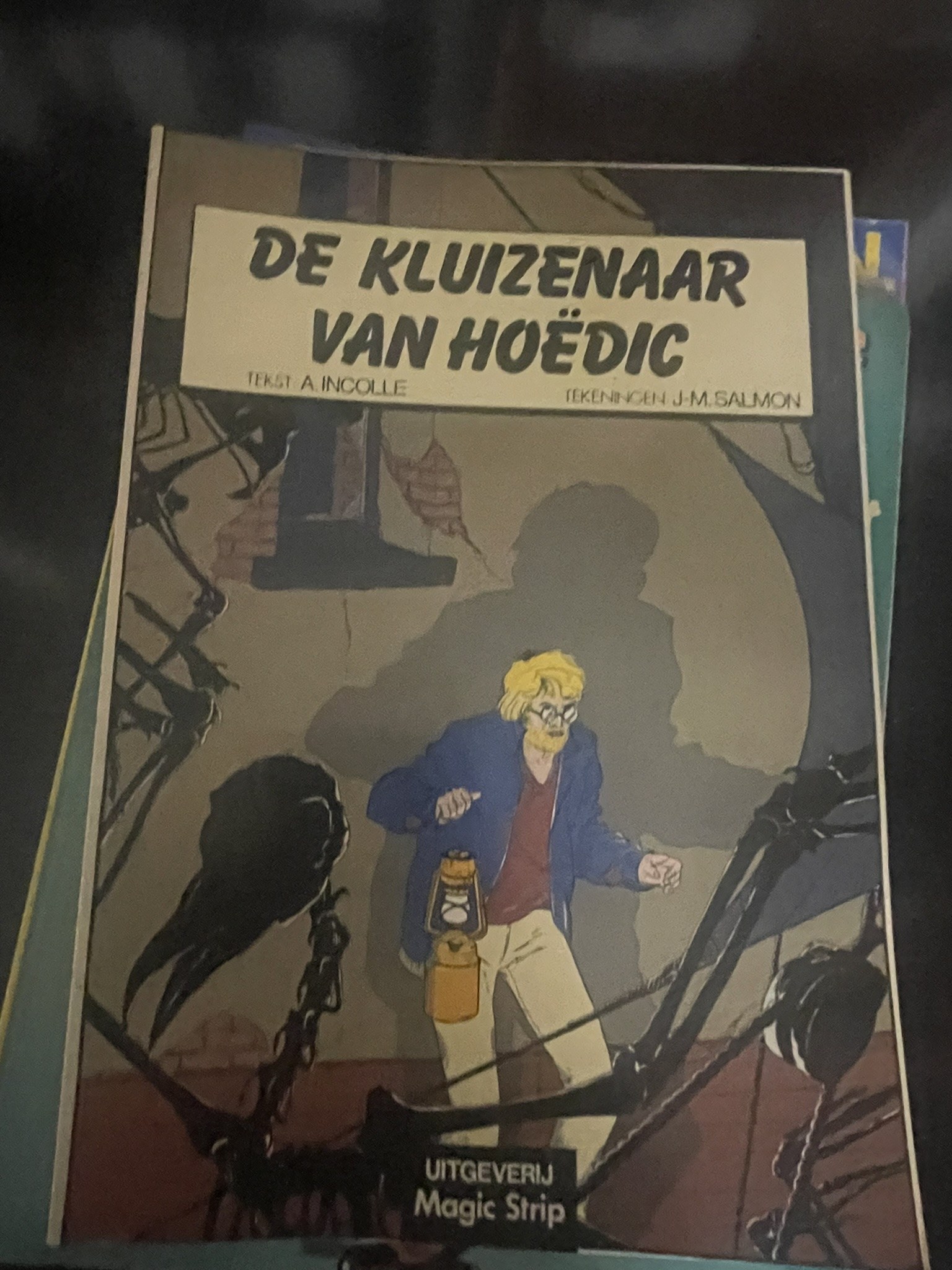 Cover van De kluizenaar van Hoëdic