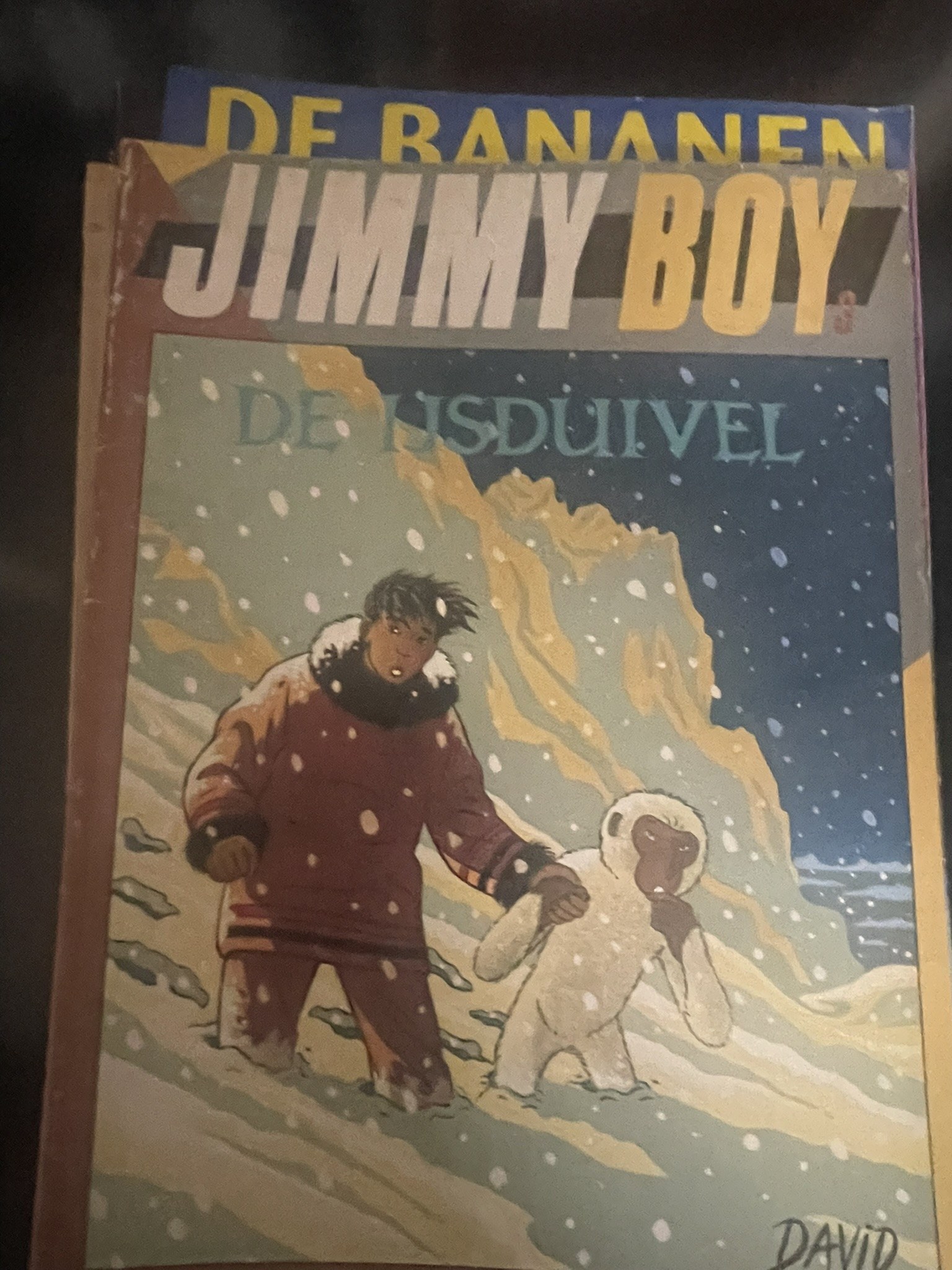 Cover van De ijsduivel