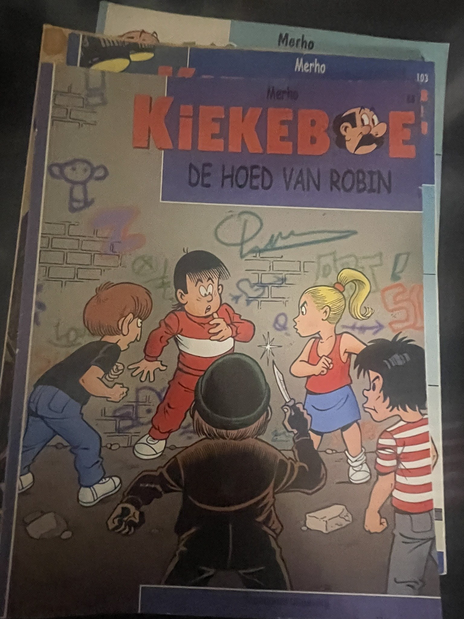 Cover van De hoed van Robin