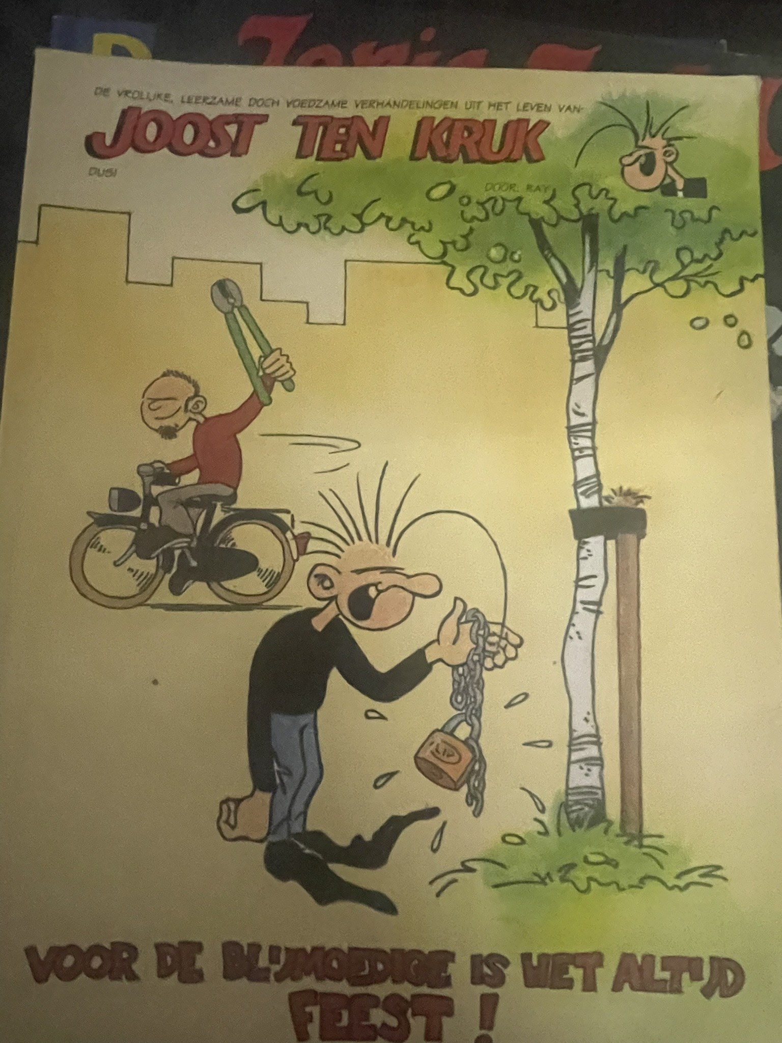 Cover van Voor de blijmoedige is het altijd feest!