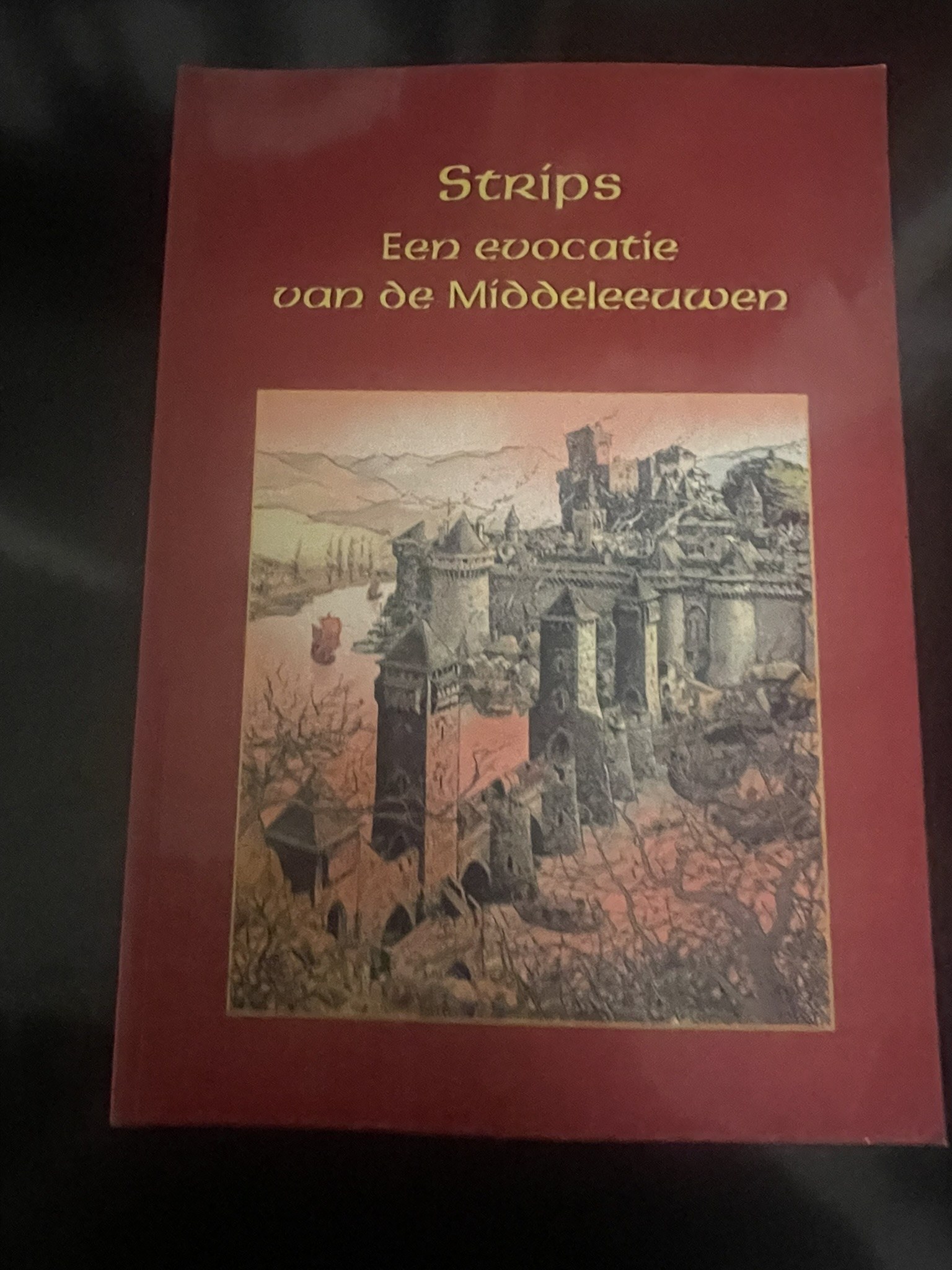 Cover van Strips - Een evocatie van de Middeleeuwen