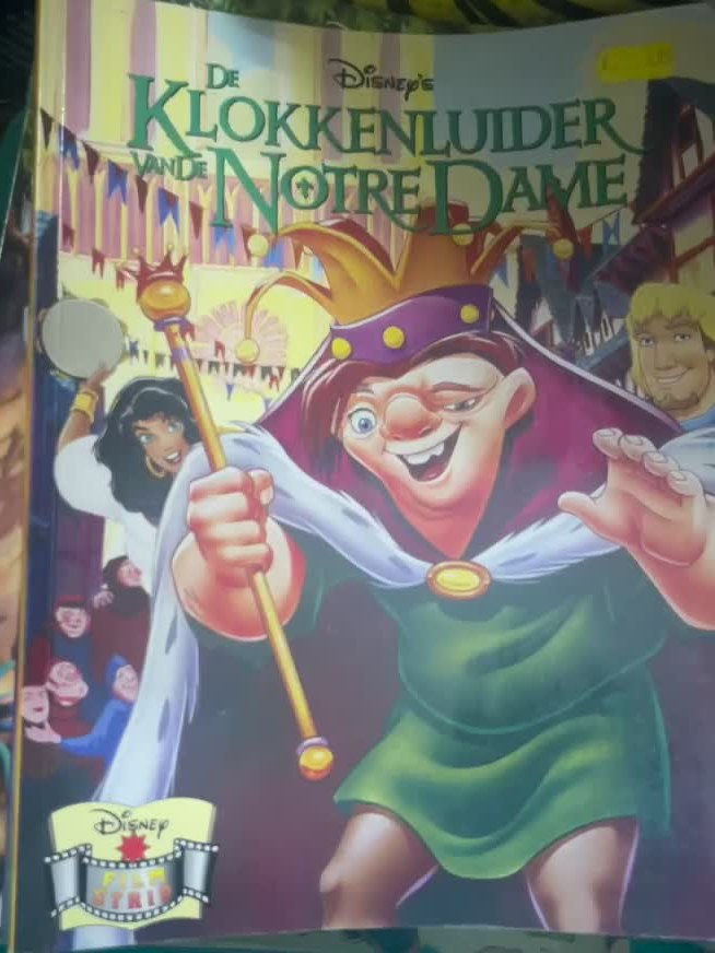 Cover van De klokkenluider van de Notre-Dame