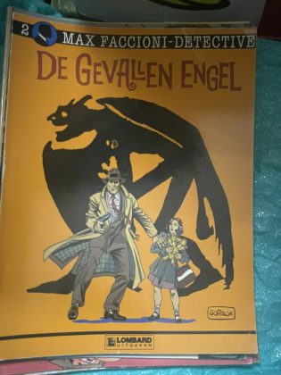 Cover van De gevallen engel