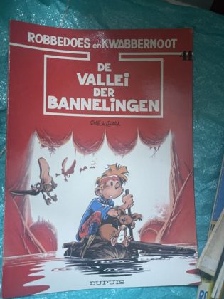 Cover van De vallei der bannelingen