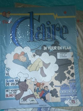 Cover van In vuur en vlam