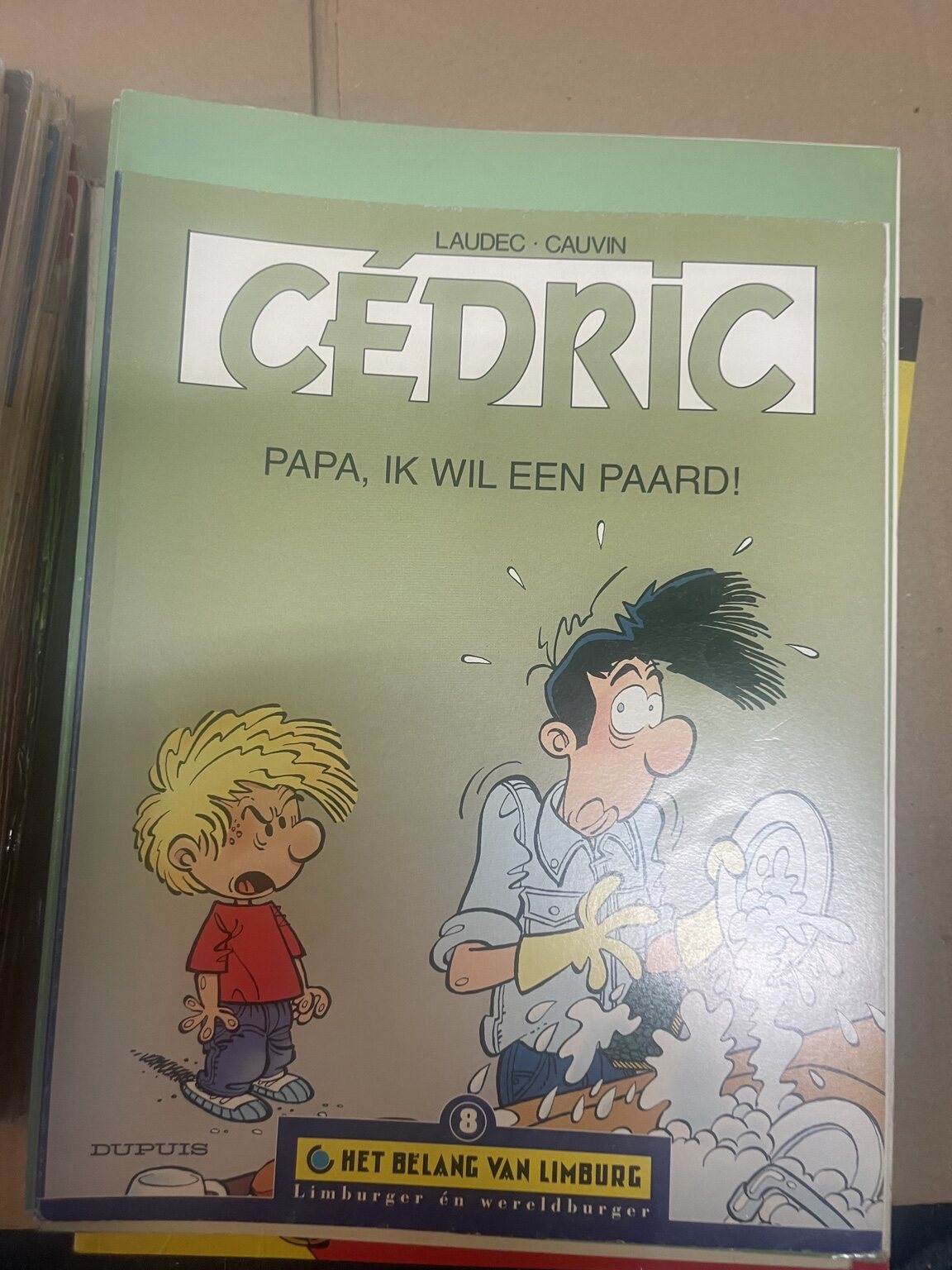 Papa, ik wil een paard! - afbeelding 2