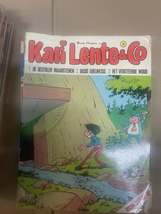 Cover van De gestolen maanstenen + Basis Edelweiss + Het versteende woud