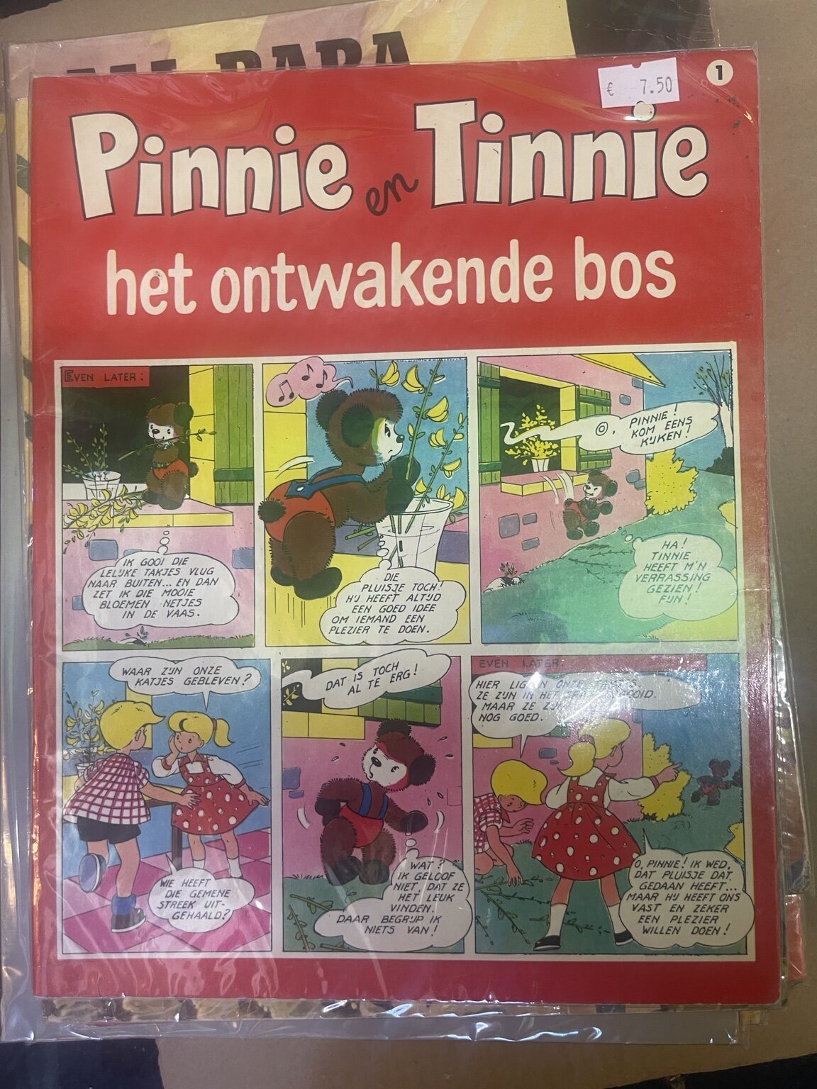 Het ontwakende bos - afbeelding 3