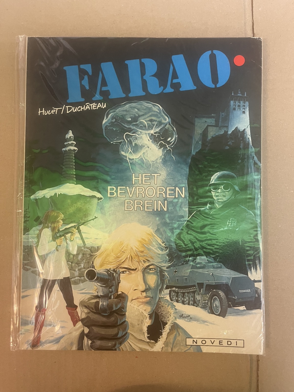 Cover van Het bevroren brein