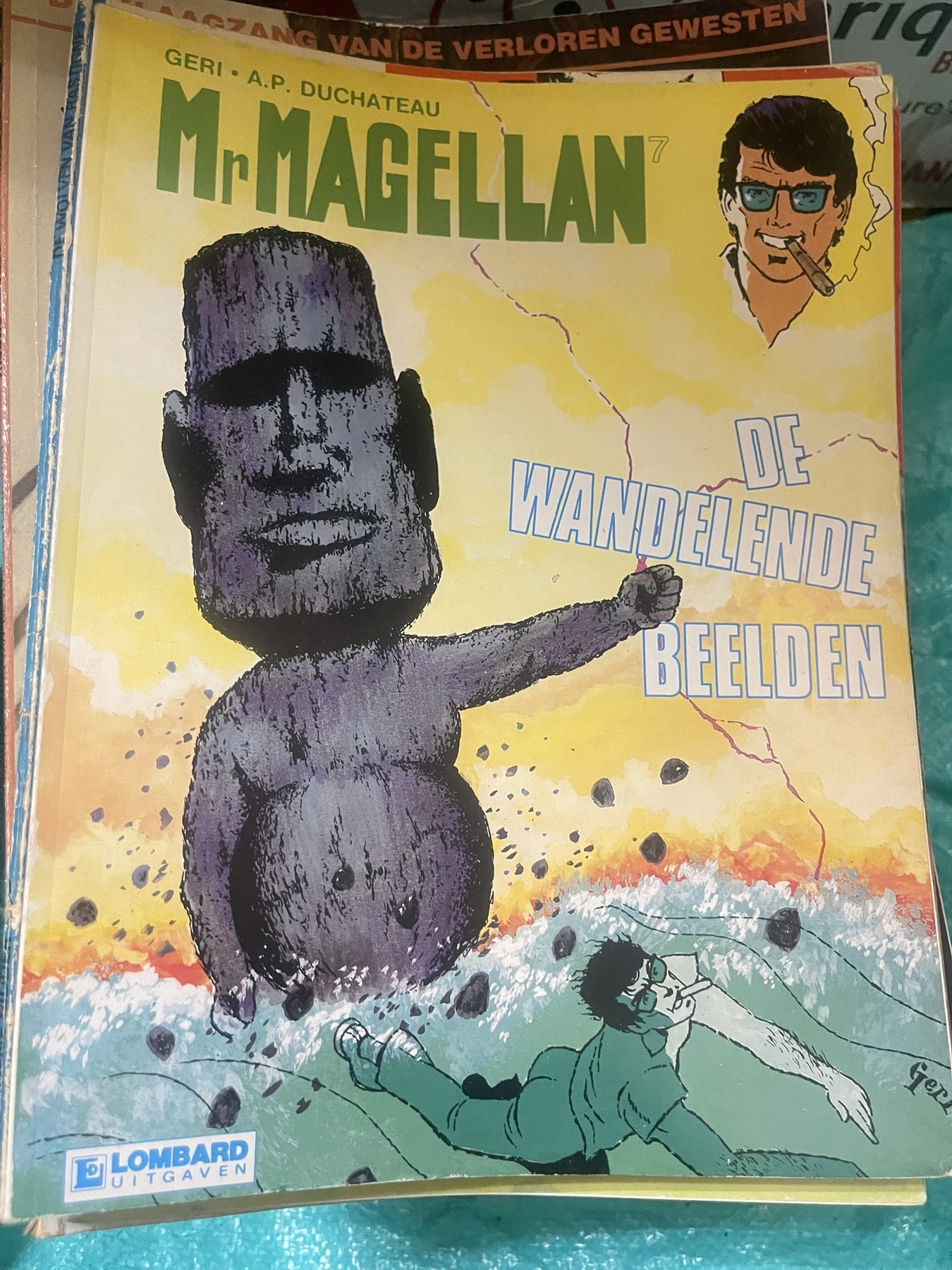 Cover van De wandelende beelden