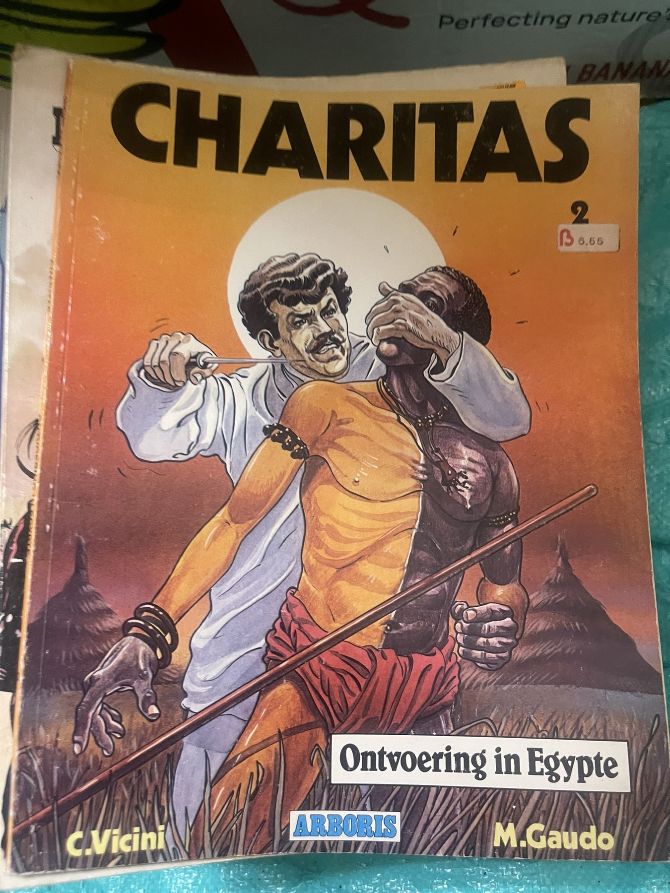 Cover van Ontvoering in Egypte