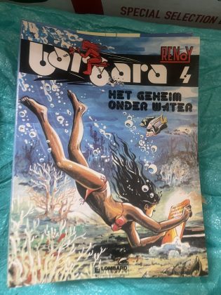 Cover van Het geheim onder water