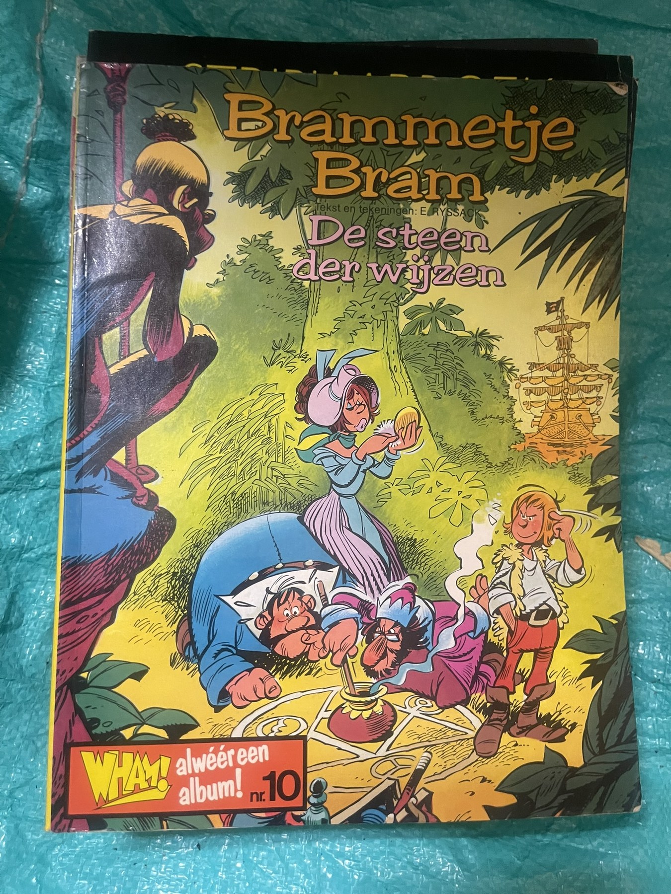 Cover van De Steen der Wijzen