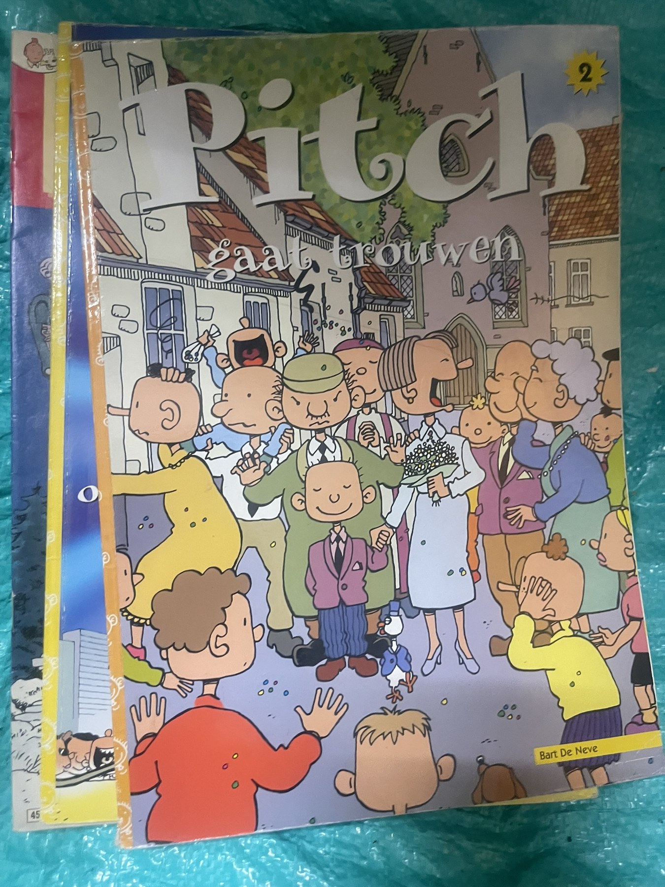 Cover van Pitch gaat trouwen