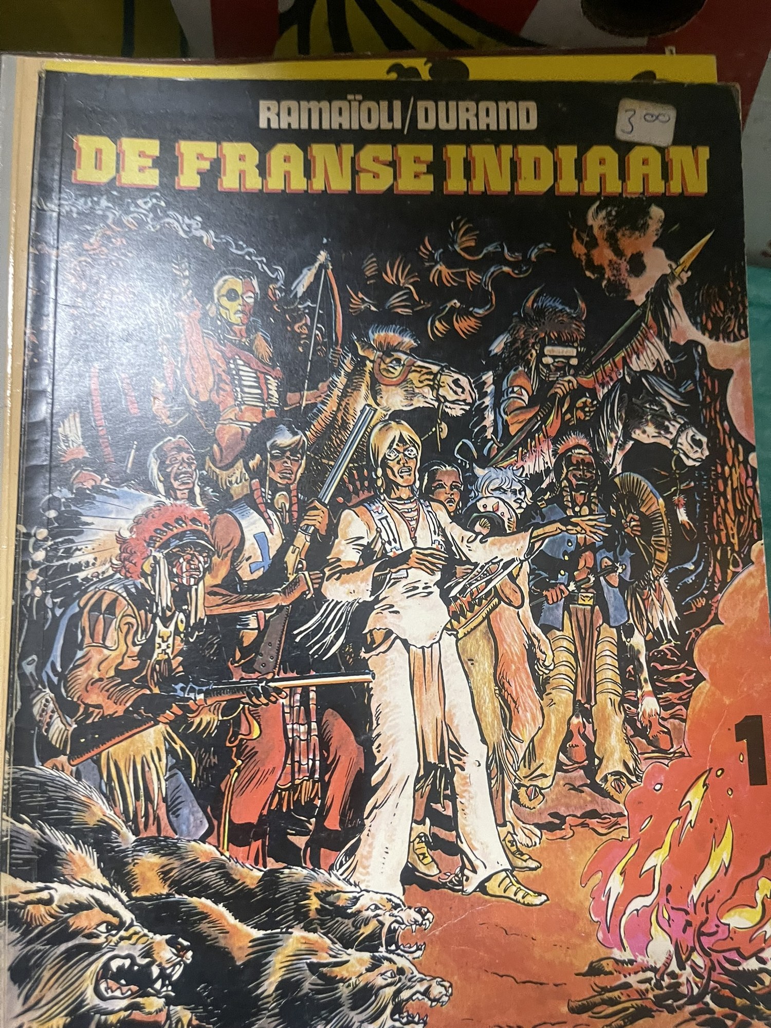 Cover van De Franse indiaan 1
