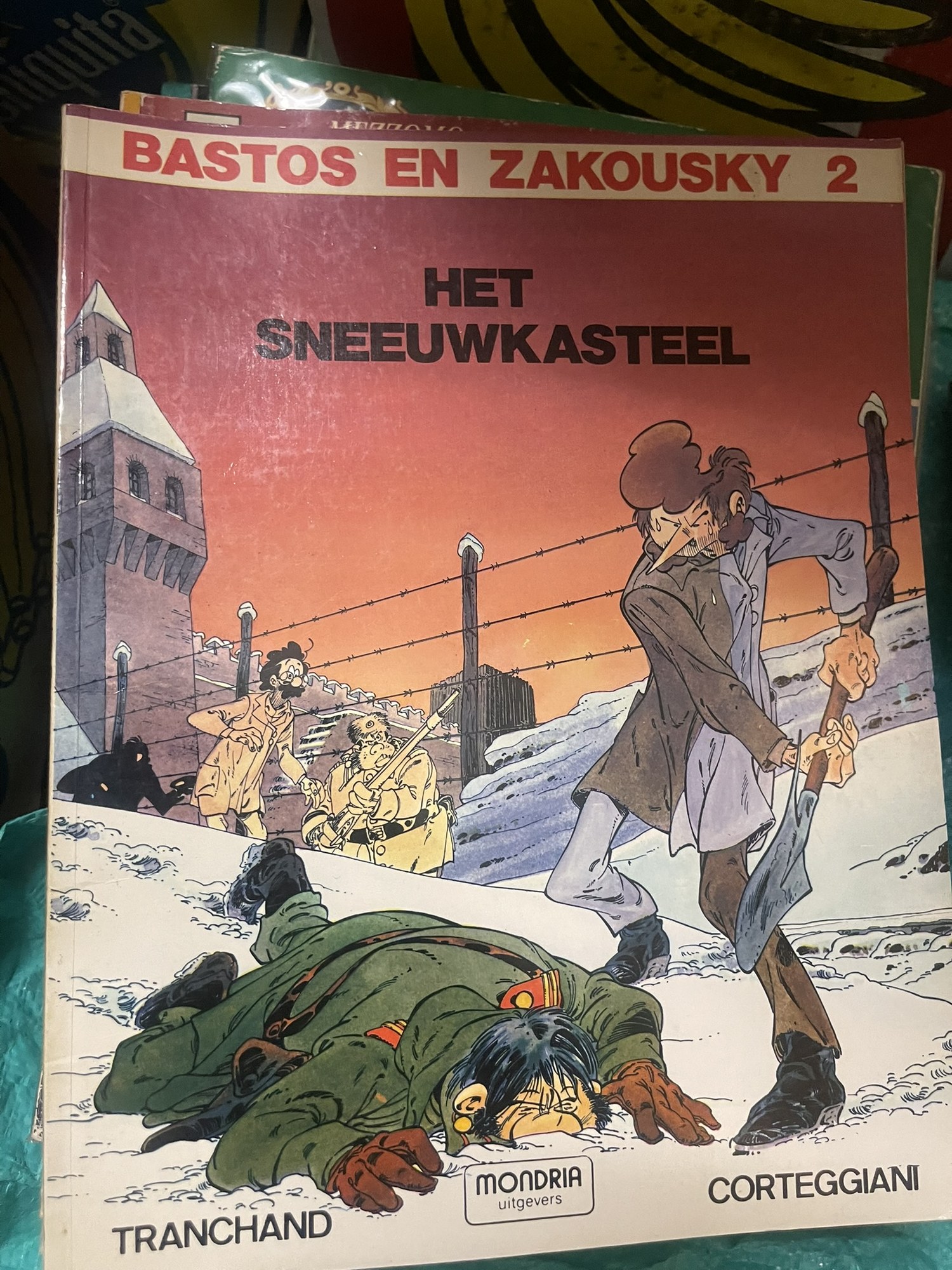 Cover van Het sneeuwkasteel