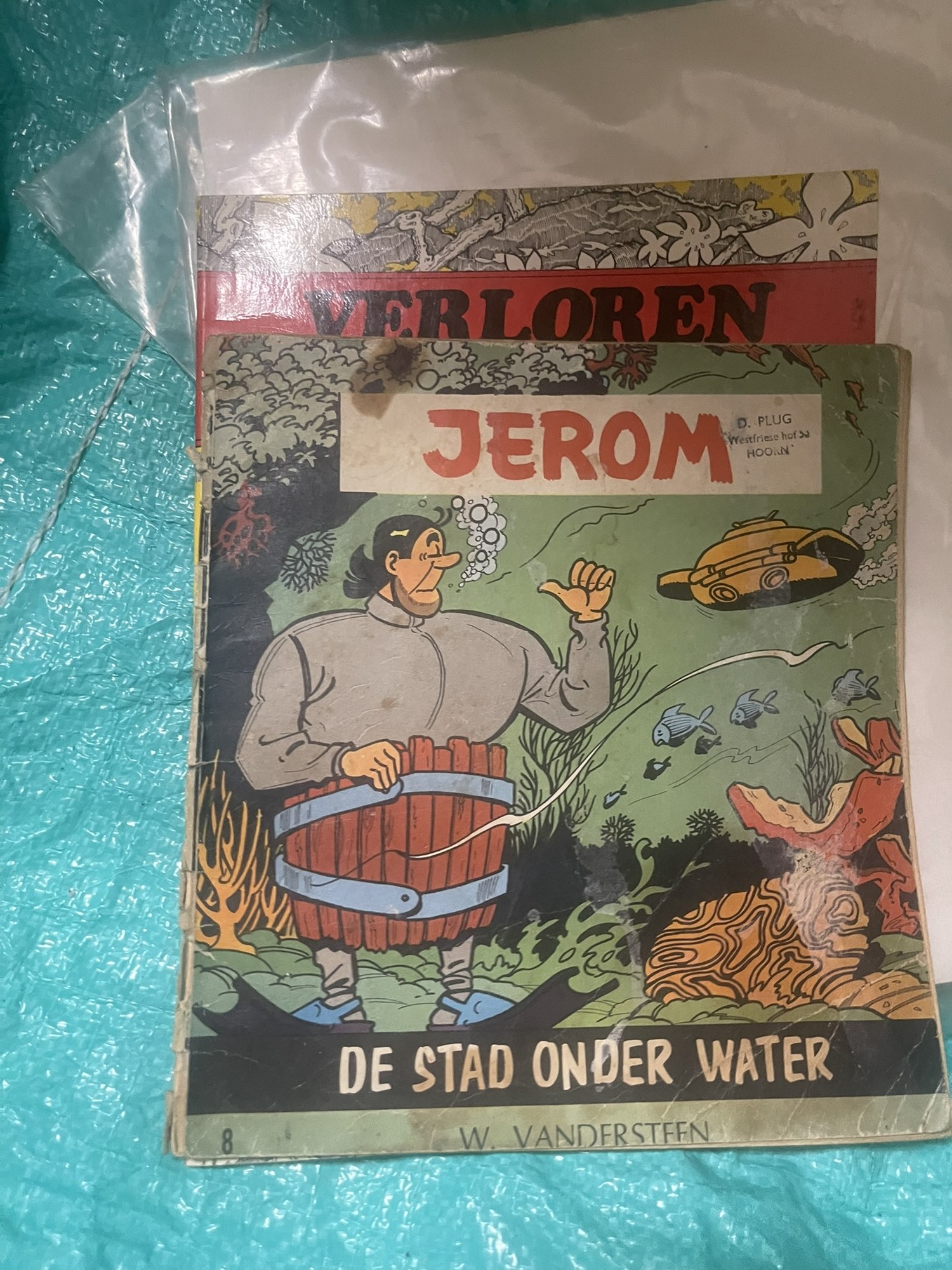 Cover van De stad onder water