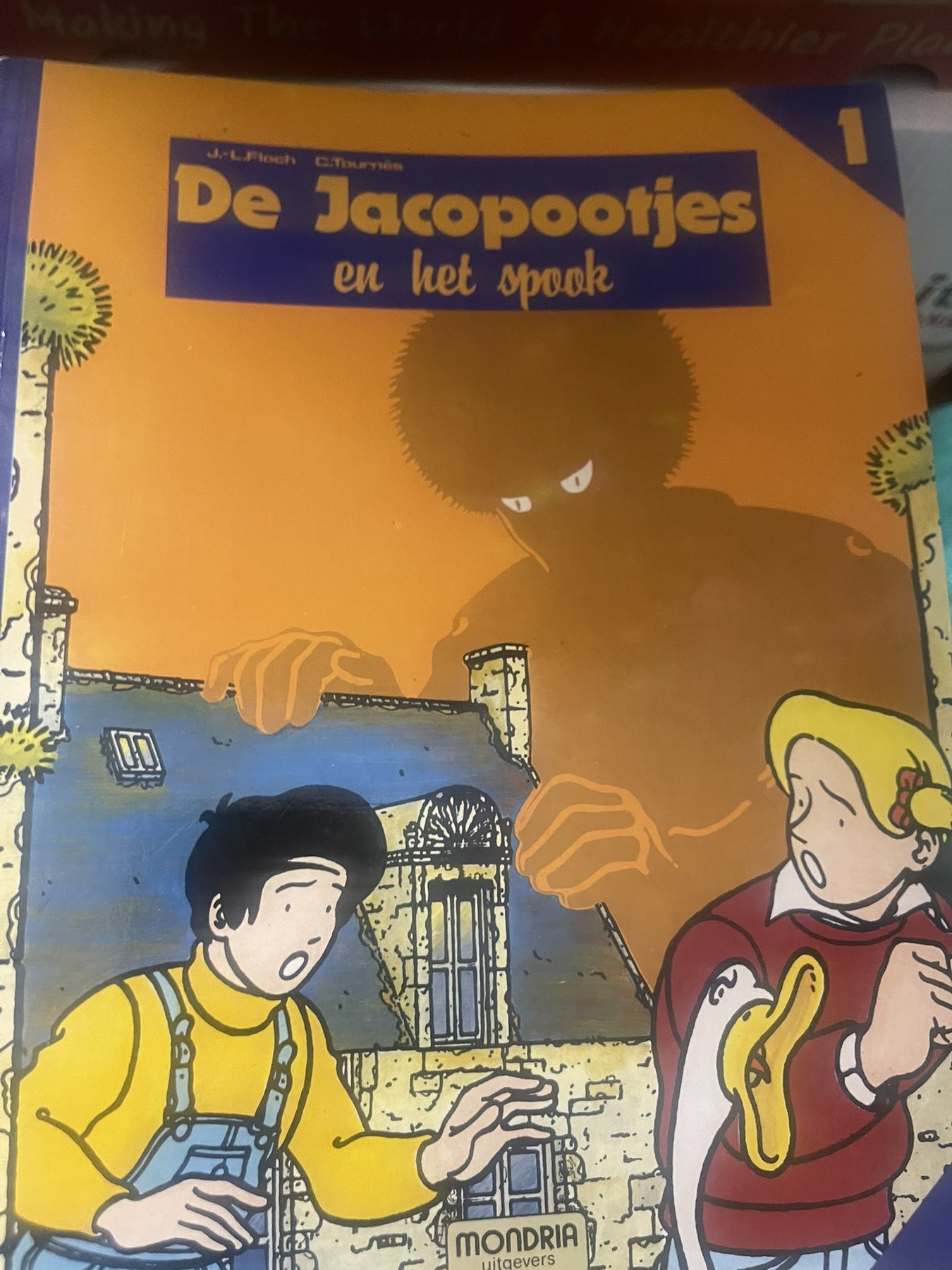 Cover van De Jacopootjes en het spook