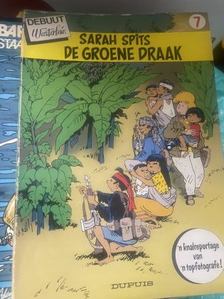 Cover van De groene draak
