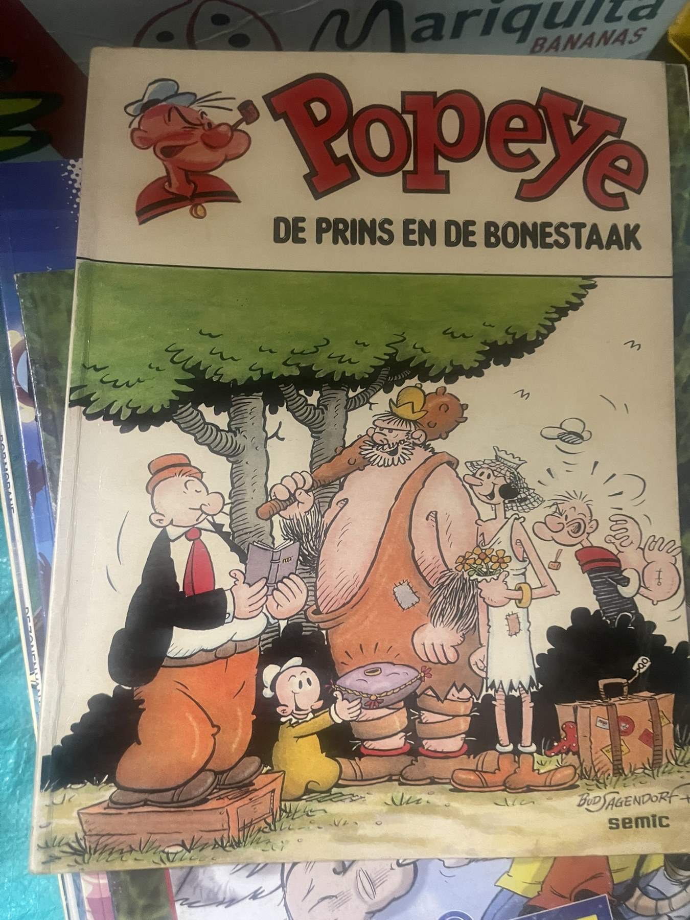 Cover van De prins en de bonestaak