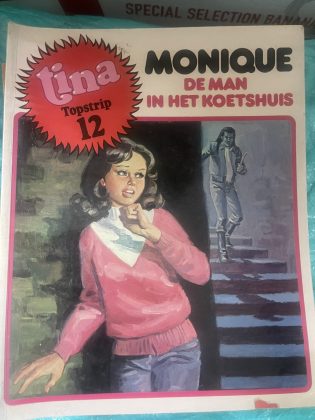 Cover van De man in het koetshuis