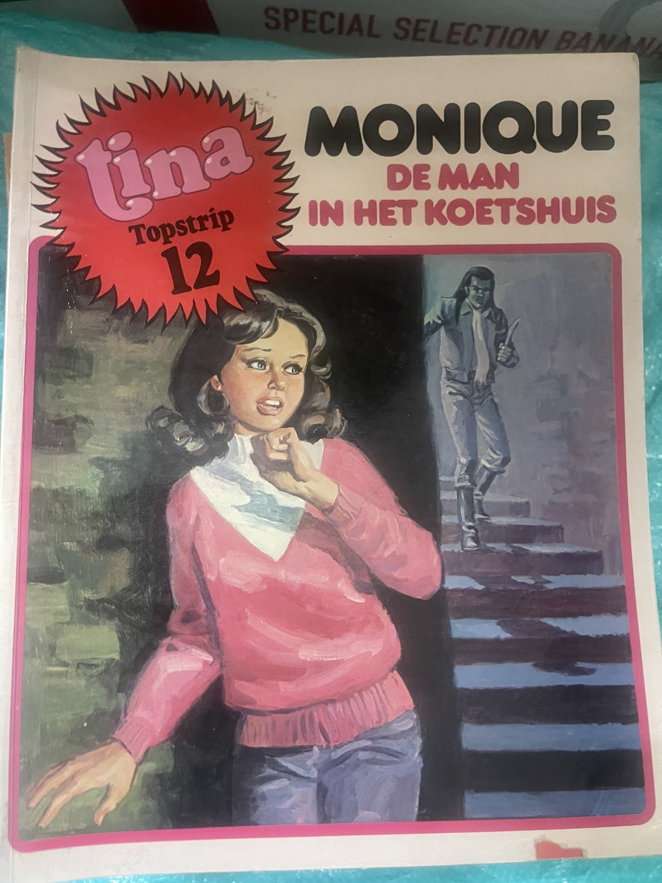 Cover van De man in het koetshuis