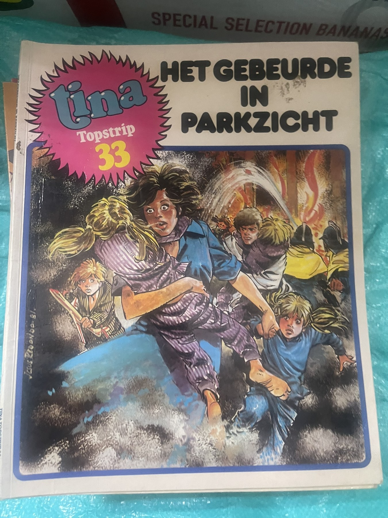 Cover van Het gebeurde in Parkzicht